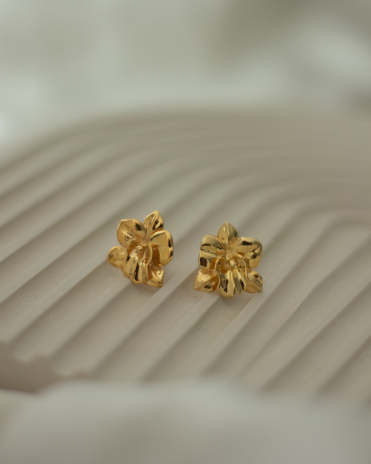 Boucles d'Oreilles Devika